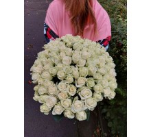 Акция на букет из 101 белой розы (40 см)
