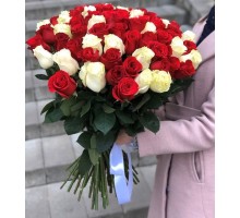 Букет из 51 белой и красной розы(с лентой)