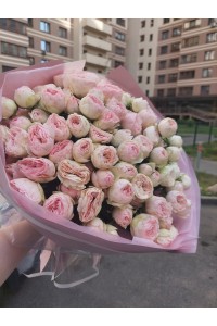 Букет из 31 пионовидной розы Мансвилд Парк