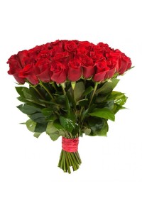 Акция на букет из 35 красных роз Родос (50 см)