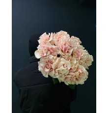 Французская роза нежно-розовая