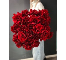 Букет из 25 красных французских роз