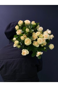 Кустовая пионовидная роза Саммер Роуз