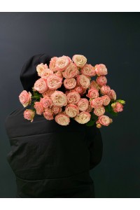 Кустовая пионовидная роза Бомбастик