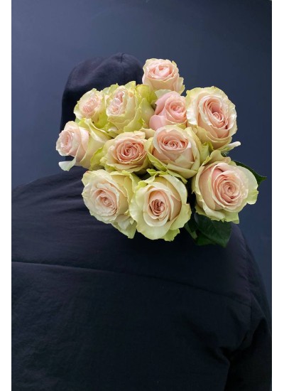 Розово-белая роза Фруетта (Эквадор)