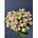 Кустовая пионовидная роза Кристи