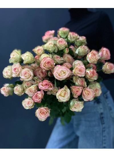 Роза кустовая розовая Рефлекс