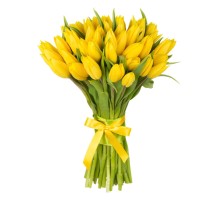Букет из желтых тюльпанов (с лентой)