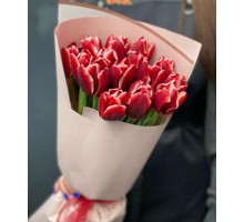 15 бело-красных тюльпанов с оформлением