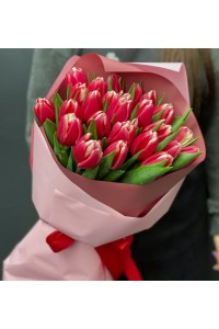 23 бело-красных тюльпана с оформлением