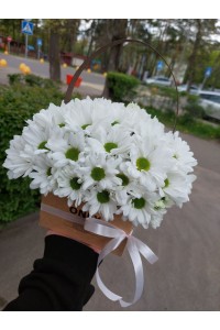 Цветочная  коробка  из хризантем "Теплые мгновения"