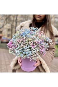 Радужная гипсофила в шляпной коробке