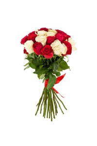 Букет из 25 белой и красной розы(с лентой)