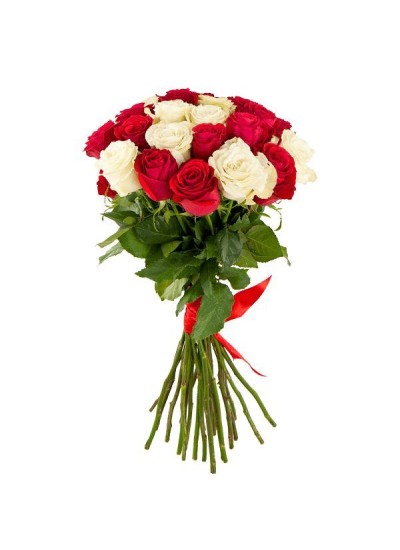 Букет из 25 белой и красной розы(с лентой)