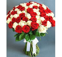 Букет из 35 белой и красной розы(с лентой)