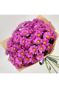 101 фиолетовая ромашковая хризантема (с оформлением)