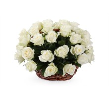 Корзина из 31 белой розы