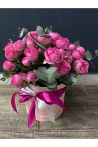 Коробка с пионовидной розой Жизель