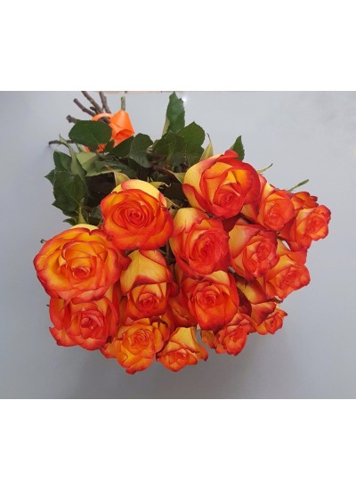 Букет из 15 красно-желтых роз "Кассандра" (с оформлением)