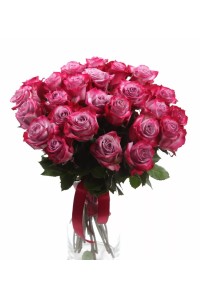 Букет из 25 роз "Аура"