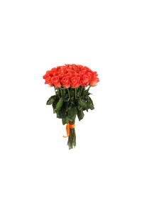 Букет из 31 роз "Венеция"