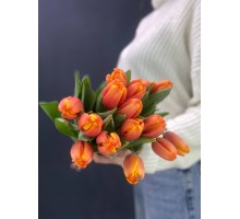 Оранжевый тюльпан