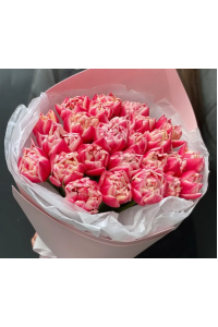 Букет розовых пионовидных тюльпанов (25 шт.)
