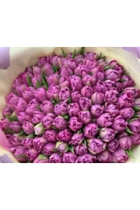 Букет фиолетовых пионовидных тюльпанов (101 шт.)